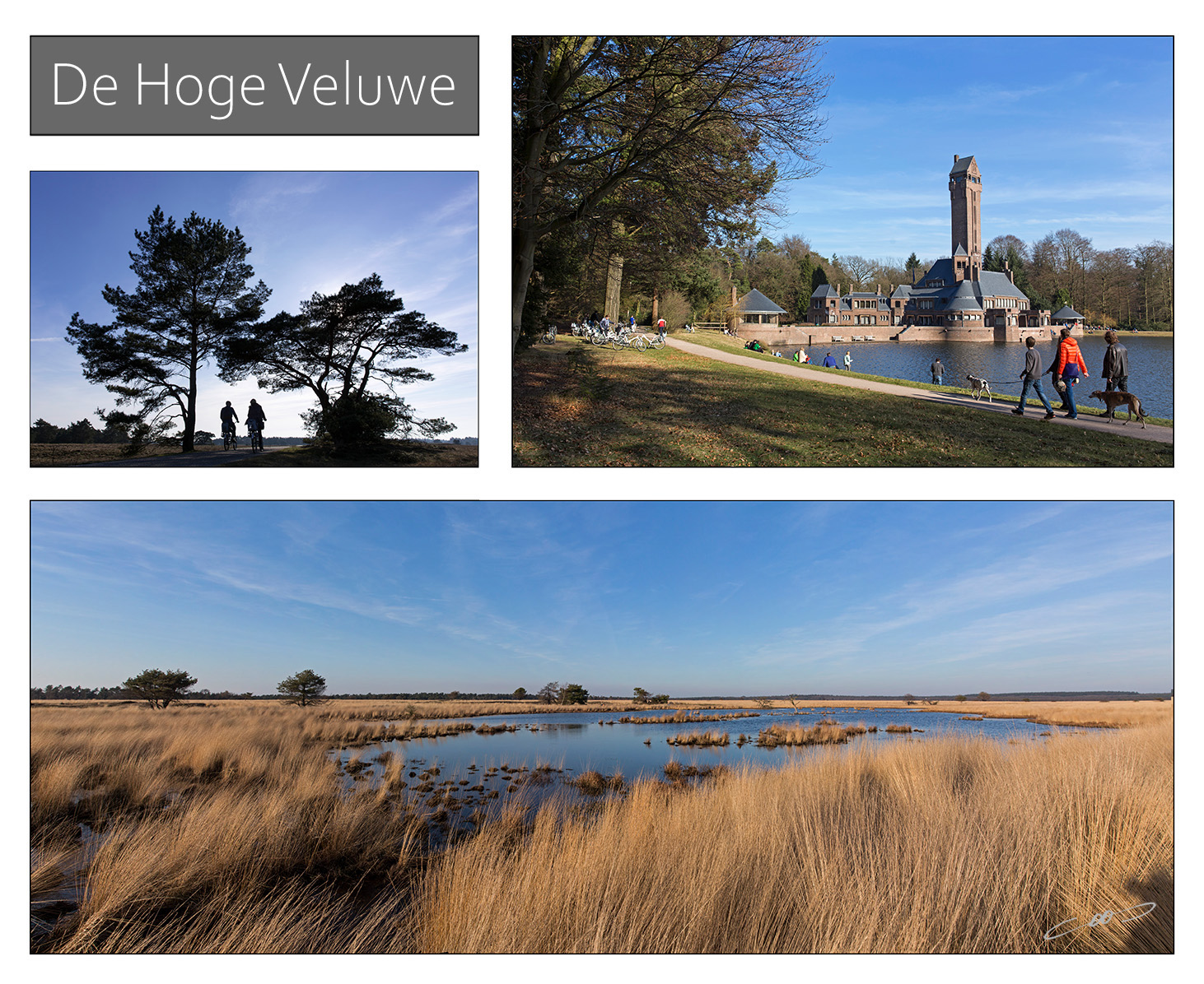 fotoreportage over Nationaal Park de Hoge Veluwe